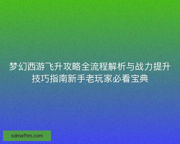 梦幻西游飞升攻略全流程解析与战力提升技巧指南新手老玩家必看宝典