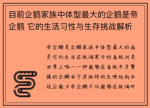目前企鹅家族中体型最大的企鹅是帝企鹅 它的生活习性与生存挑战解析